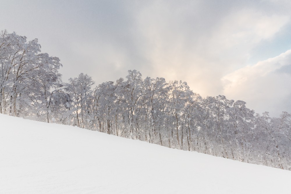 滑雪聖地：北海道留壽都度假村