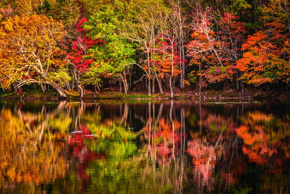 Admire the Blessings of Nature in Shiretoko Five Lakes:Hokkaido World Heritage Site