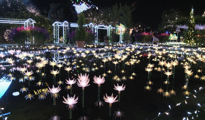 “The Garden of Illuminated Flowers – Flower Fantasy,” Salah Satu Illumination Terindah di Jepang