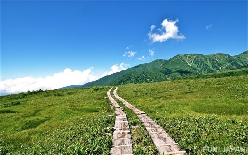 Take Kurobe Gorge Railway to Enjoy Magnificent Scenery!