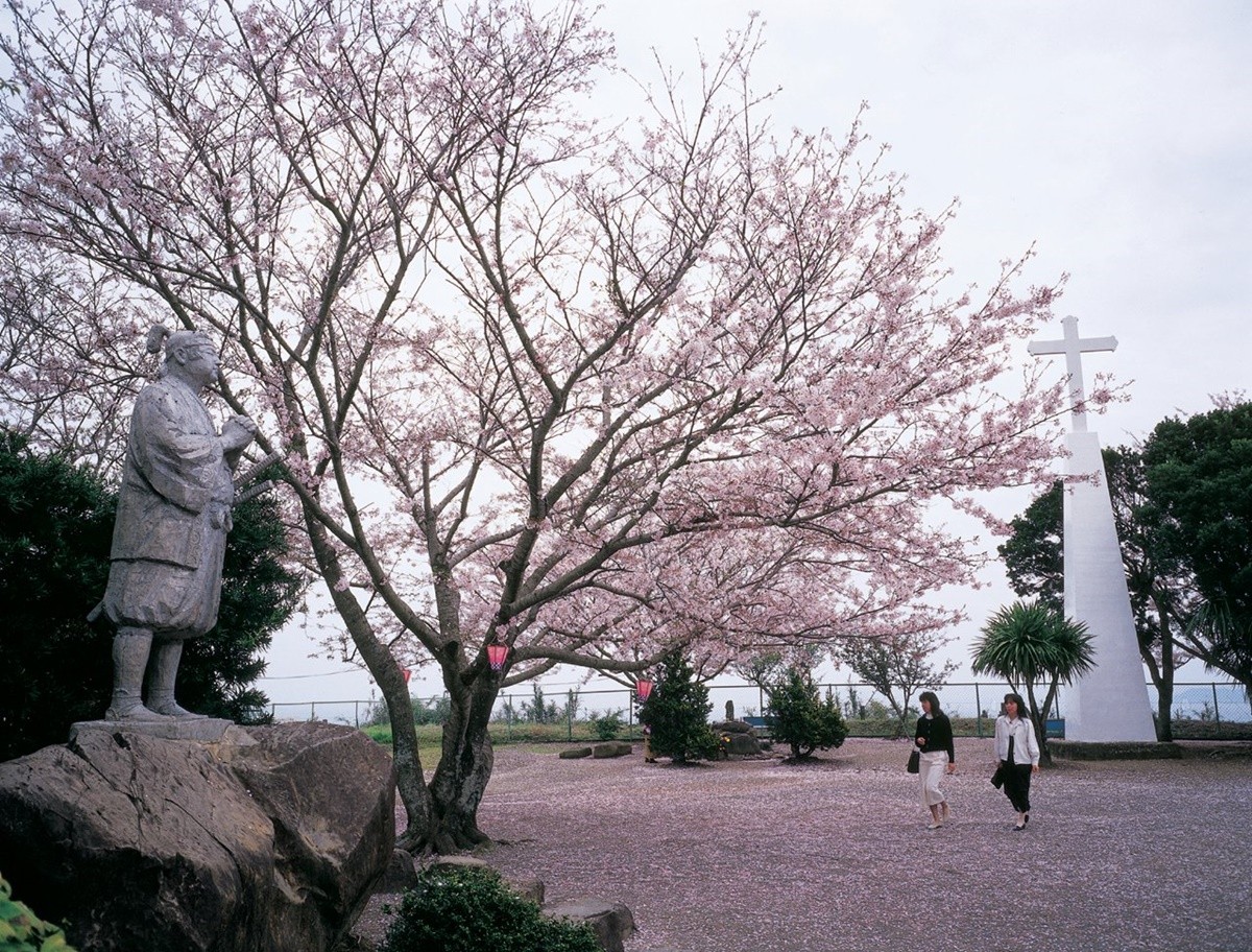 長崎縣的櫻花