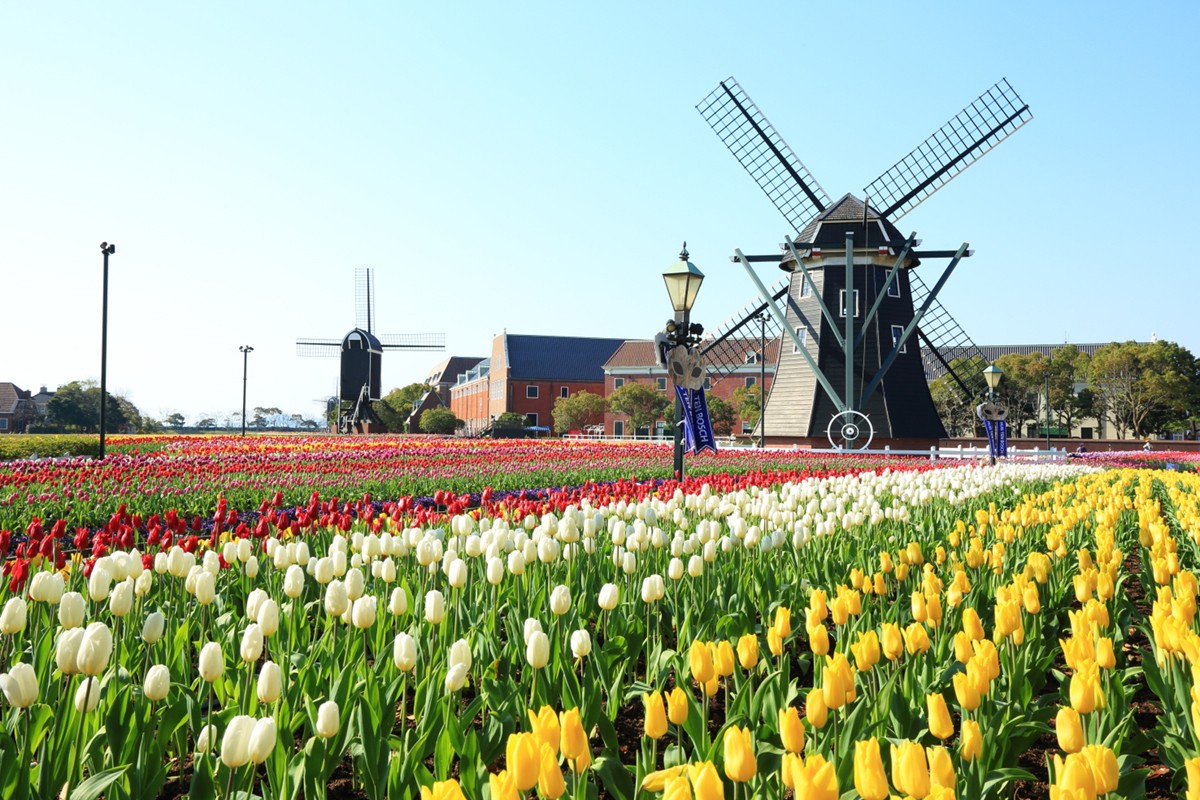 Huis Ten Bosch: A Theme Park Filled with New Excitement and Fun with Every Visit