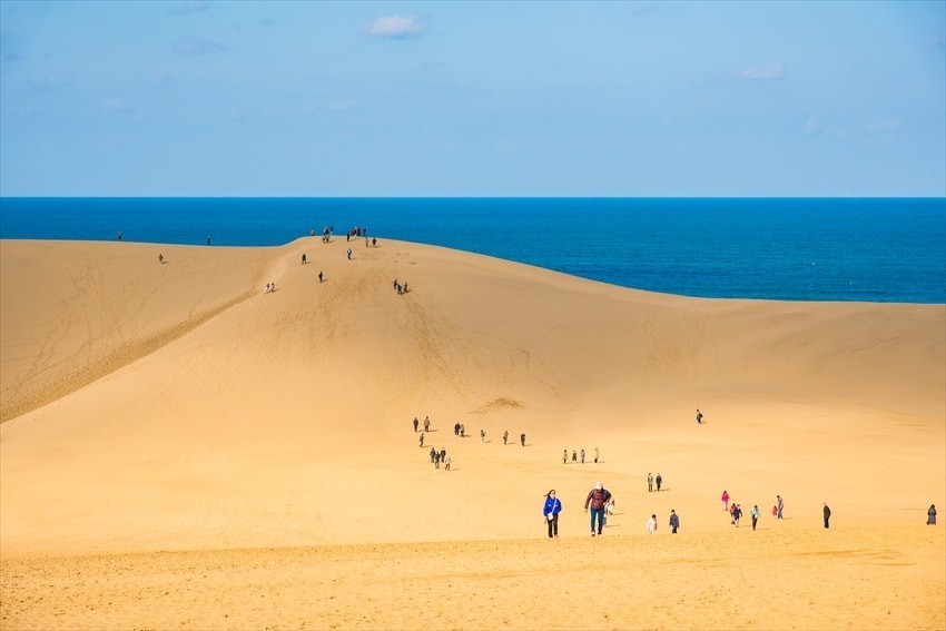 Tottori Sand Dunes, Padang pasir yang banyak menarik perhatian