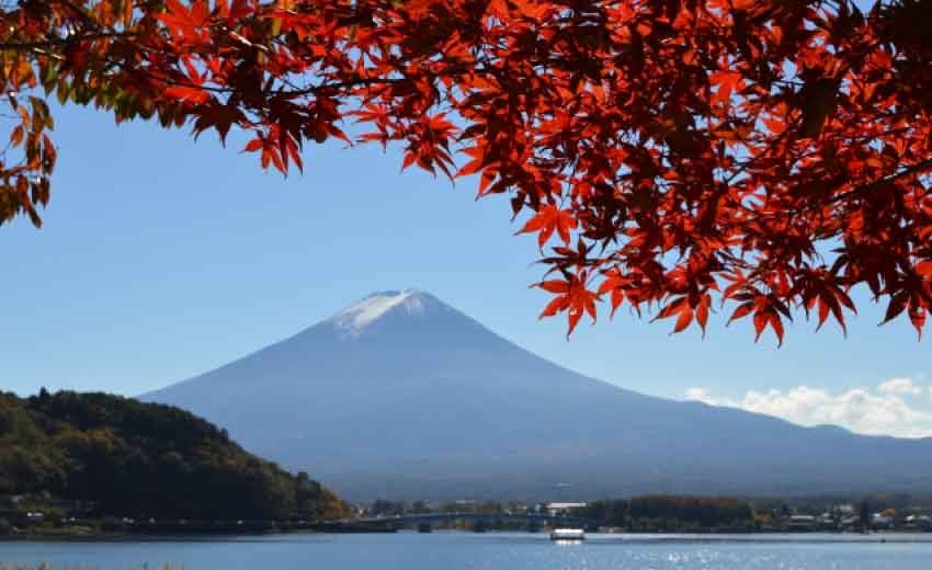 Shosenkyo and Lake Kawaguchi Maple Corridor