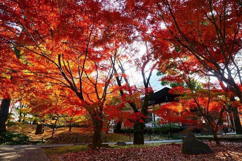 九品佛淨真寺