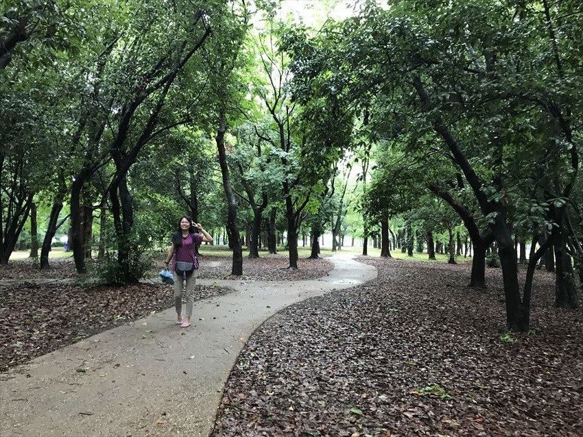 The huge Osaka Castle Park