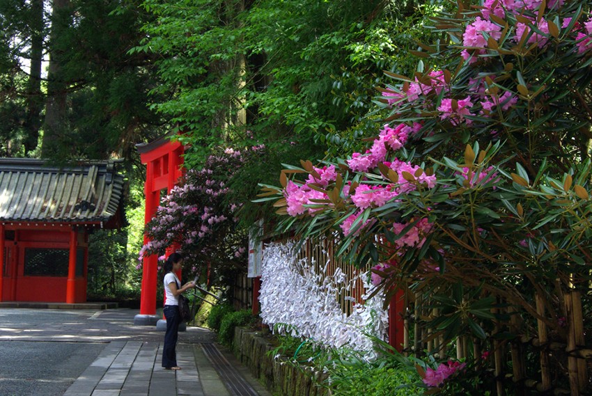 箱根神社的特色
