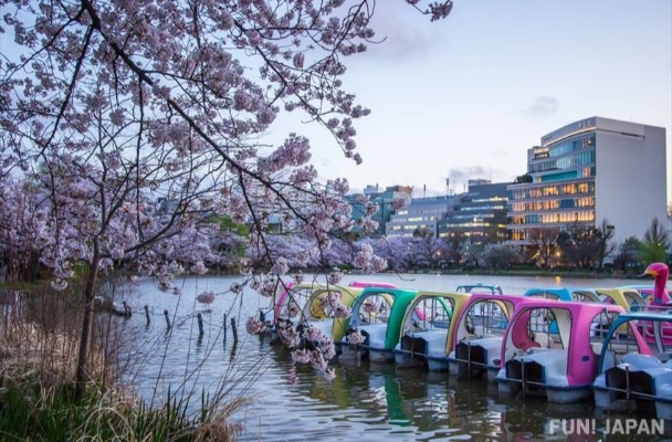 5 Must-See Spots in Ueno; From Pandas to the Bustling Town!