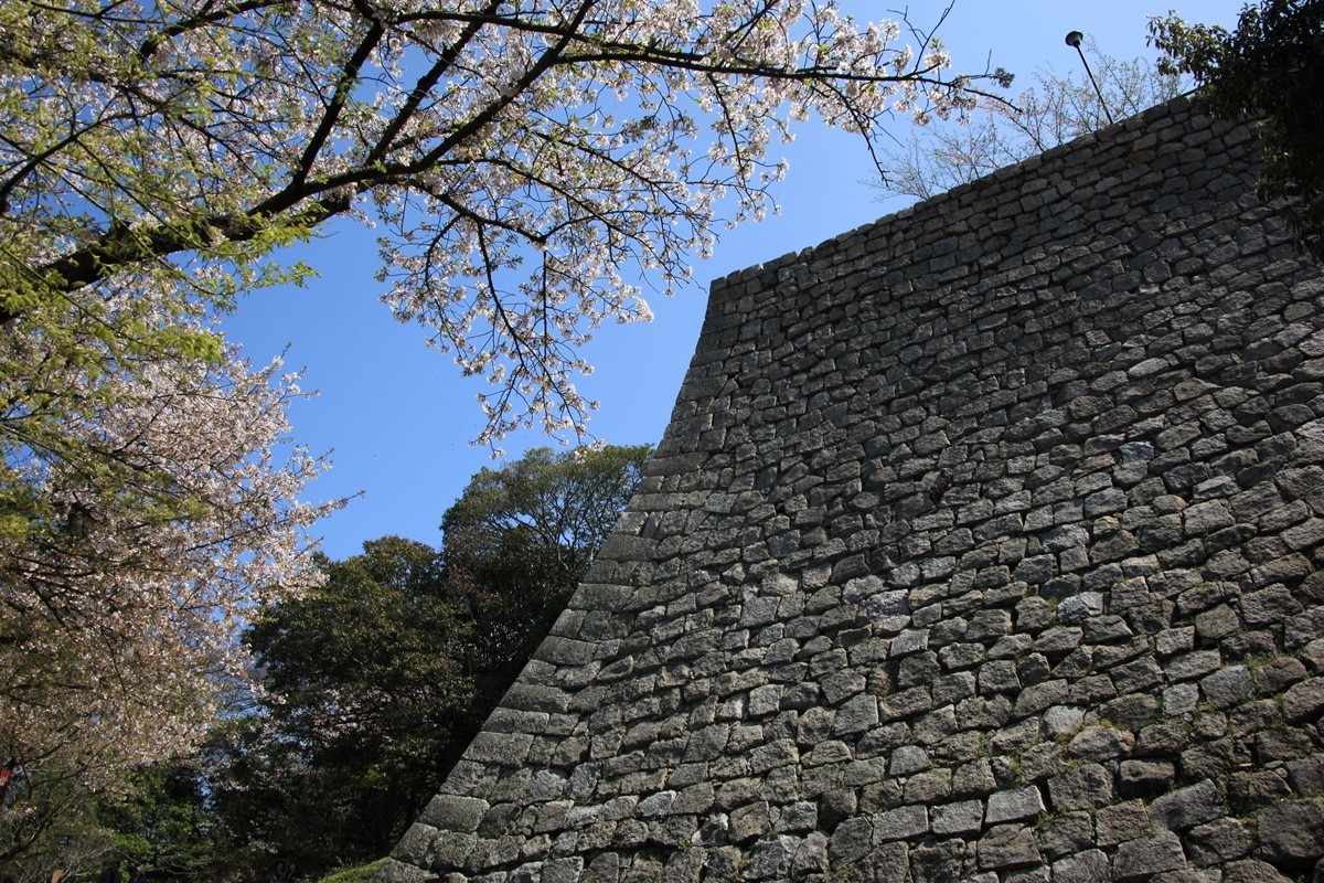 到日本香川縣丸龜城欣賞石牆曲線美