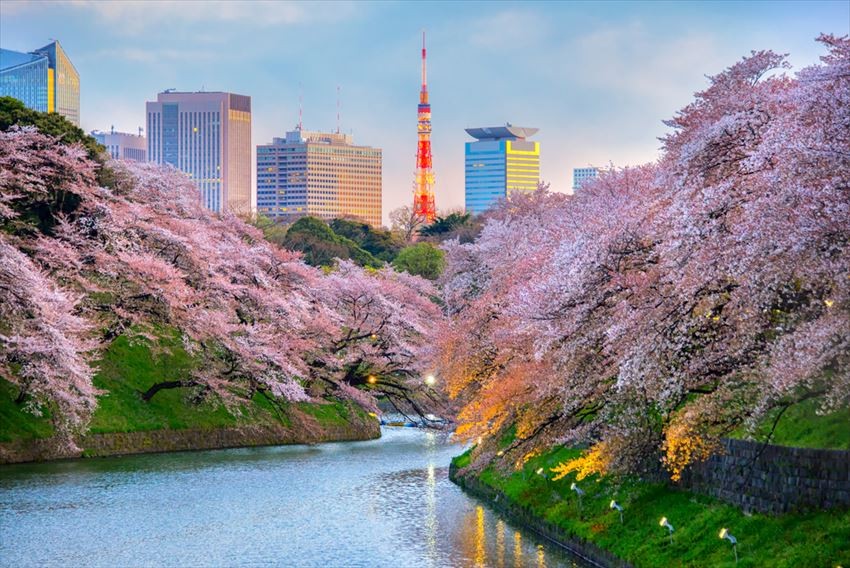 ไปเที่ยวญี่ปุ่นจะแต่งตัวยังไงดี? ตอนฤดูใบไม้ผลิ