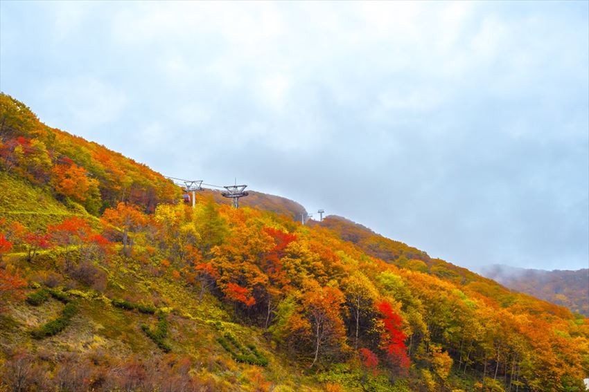 Hokkaido Daisetsuzan National Park Ginsendai, the place where you can view autumn leaves earliest in Japan