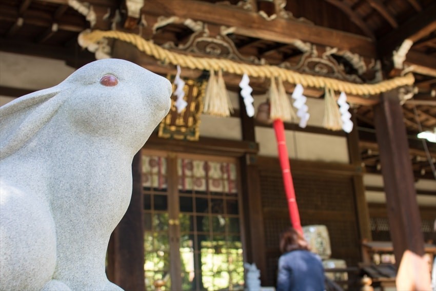กระต่ายขาวนำโชค ศาลเจ้าฮาคุโตะจิงจะ (ศาลเจ้ากระต่ายขาว)