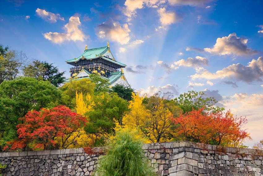 Have You Seen the Red Leaves of an Osaka Autumn?