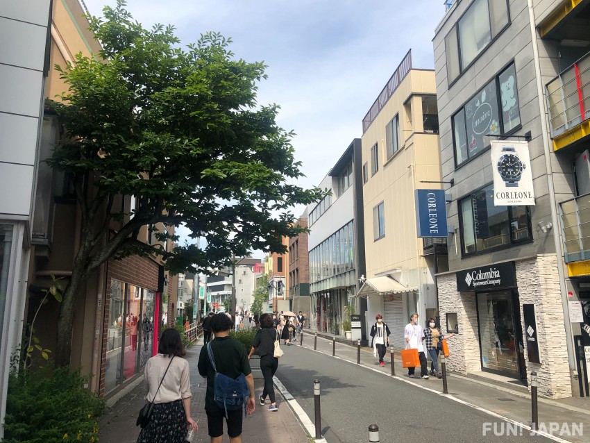 How Lovely Cat Street in Shibuya is!