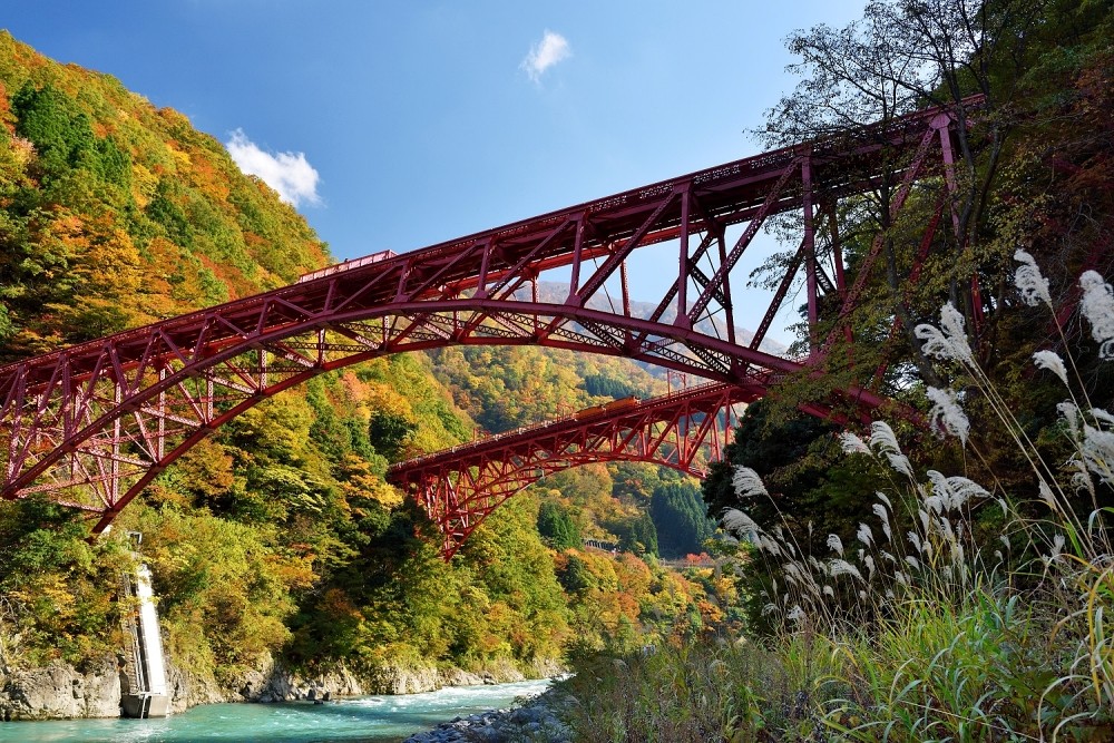 日本北陸賞楓推薦！黑部峽谷鐵道，滿山通紅的壯麗峽谷。
