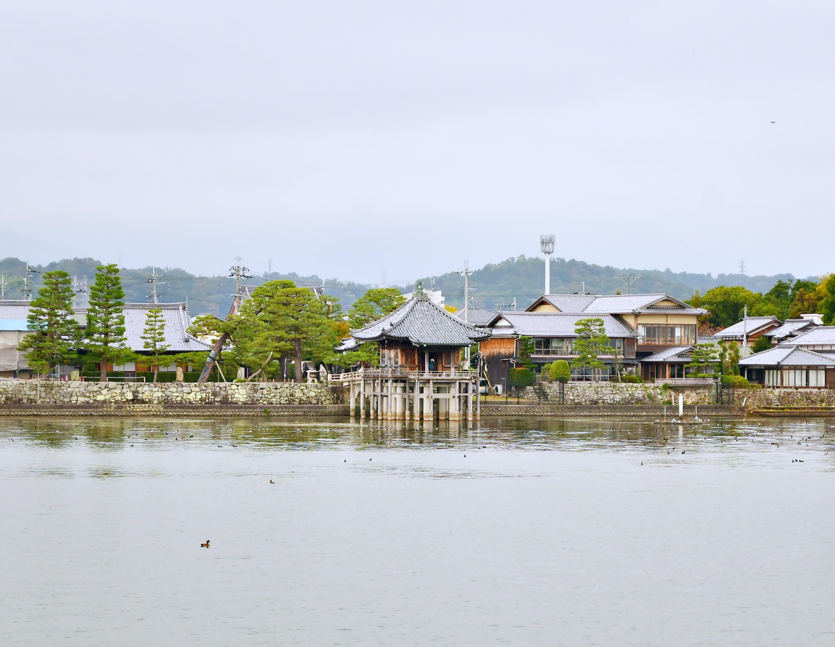 琵琶湖浪漫巡航