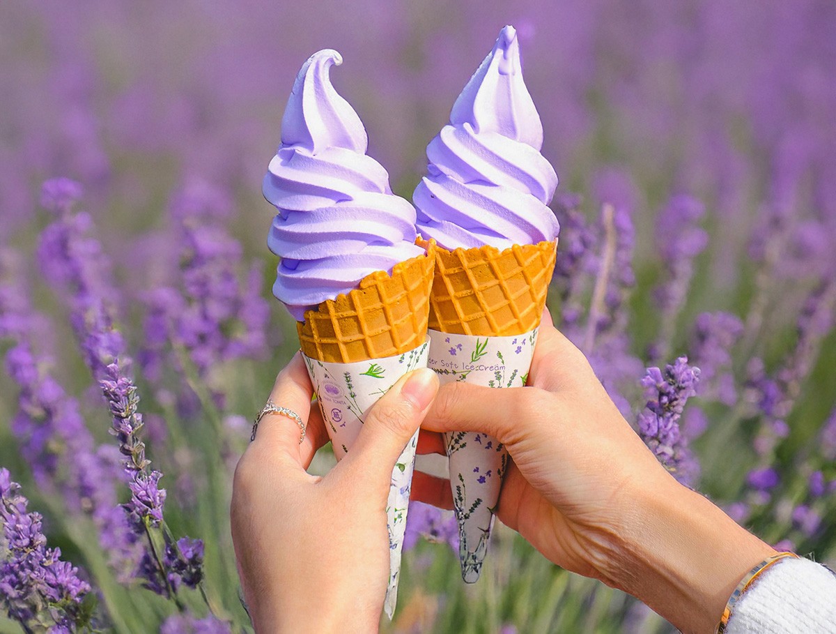 Lavender Soft Serve Hokkaido