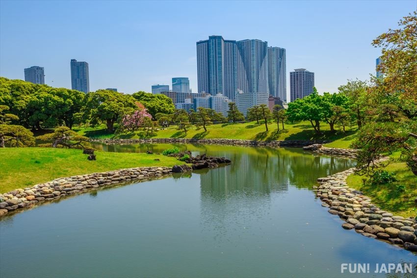 Hama Rikyu, A Must Visit Garden Near Hamamatsucho Station, directly reached  from Haneda Airport