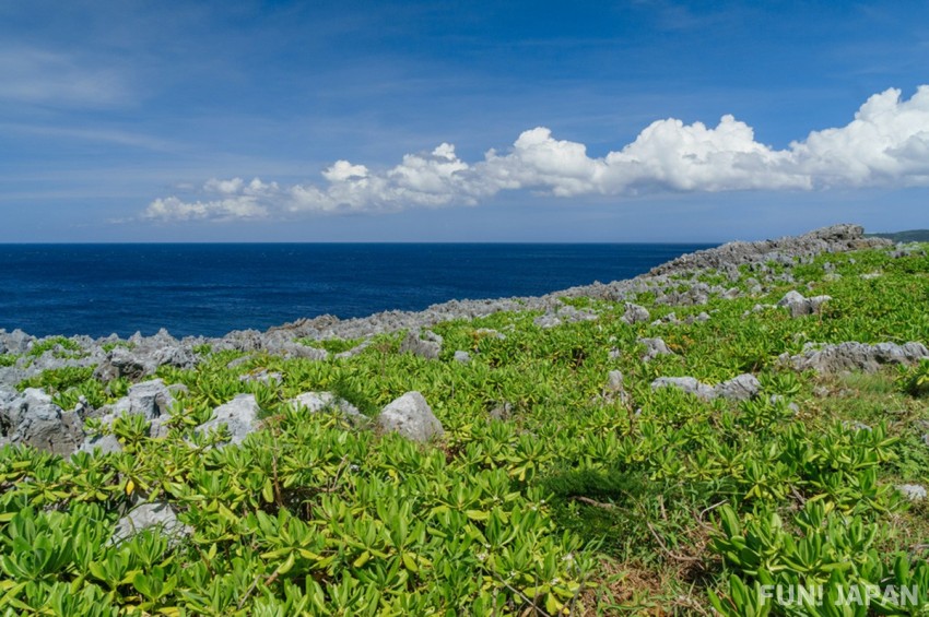 邊戶岬：沖繩本島最北端天涯海角絕景
