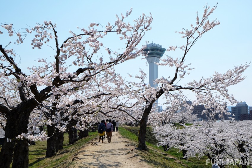 What is the climate of Hokkaido? Introducing recommended sightseeing spots for each season