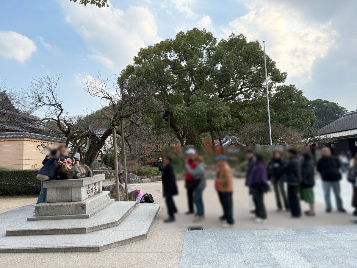 撫牛 太宰府天滿宮