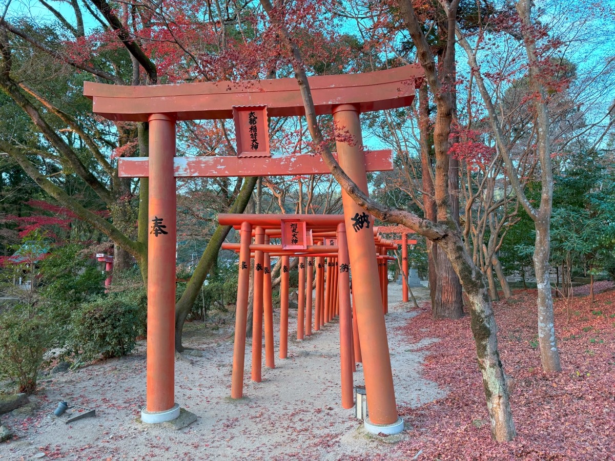 Torii Gate of Shikibu Inari Shrine, 'Homan-gu Kamado Shrine', Dazaifu, Fukuoka