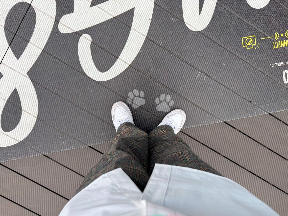 The paw print mark on the floor is the recommended spot to stand