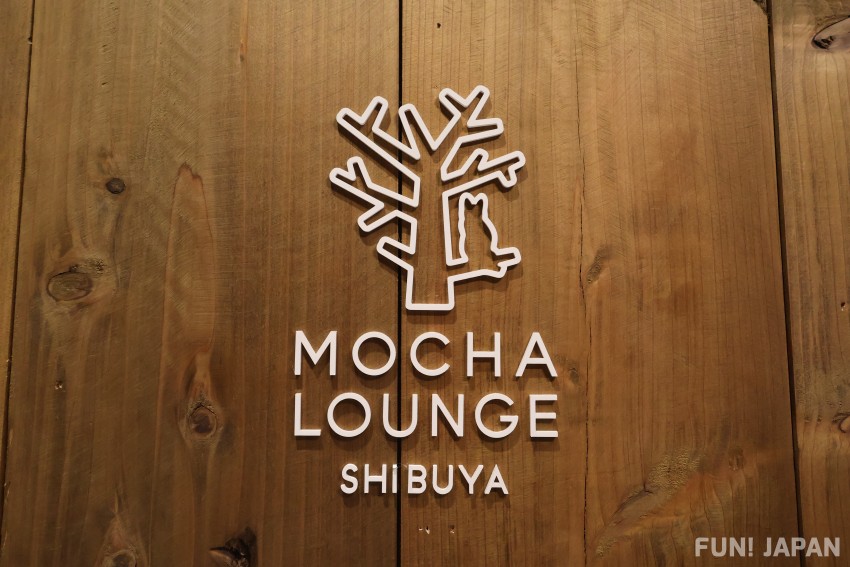 Quán cà phê mèo MOCHA