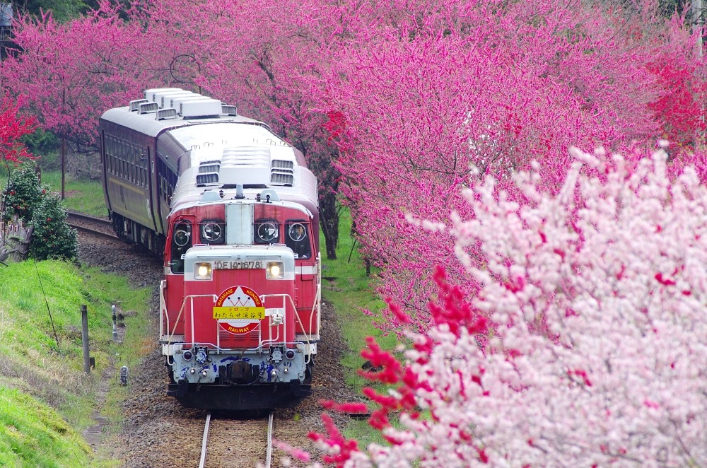 4. 乘搭小火車享受懷舊之旅 「Torokko渡良瀨溪谷號」