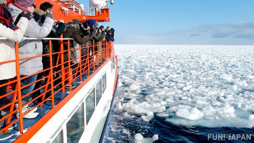 流氷ツアーの魅力、流氷クルーズと流氷ウォークの違いとは？