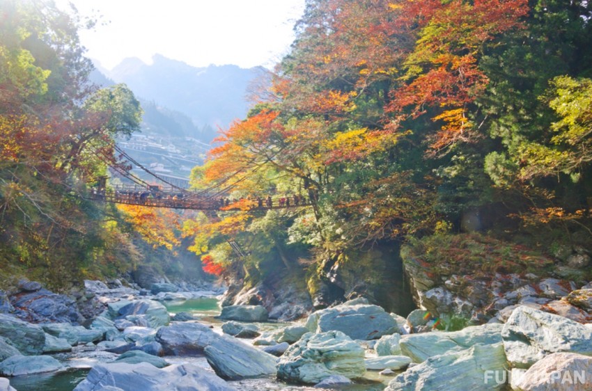 Where is the Spectacular Iya Valley in Japan?