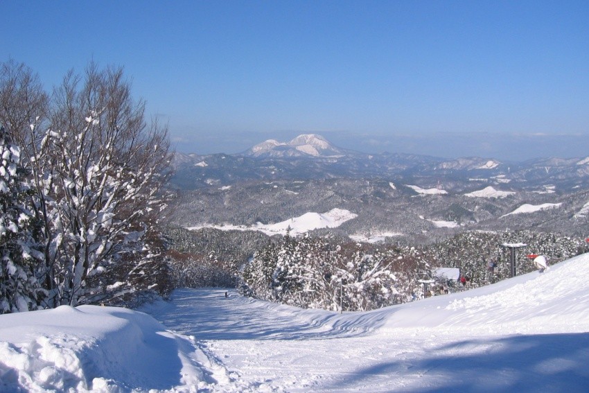 琴引森林公園滑雪場可體驗滑雪、雪橇與各種雪上活動