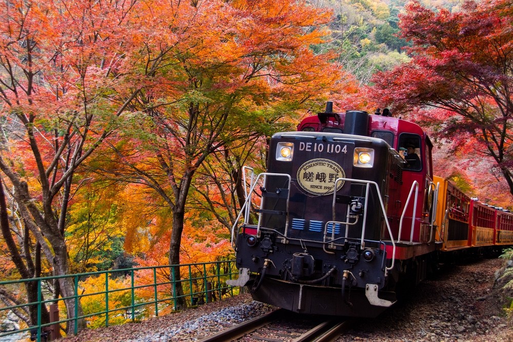 京都秋天風物詩，搭乘嵯峨野觀光小火車欣賞保津峽楓葉絕景。