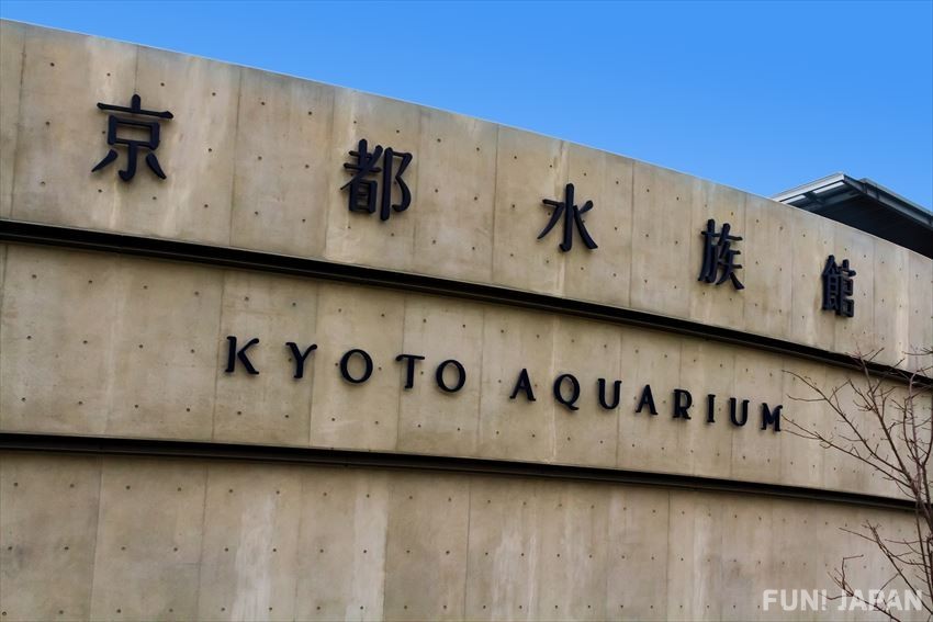 Enjoying Kyoto’s Aquatic Life in Kyoto Aquarium