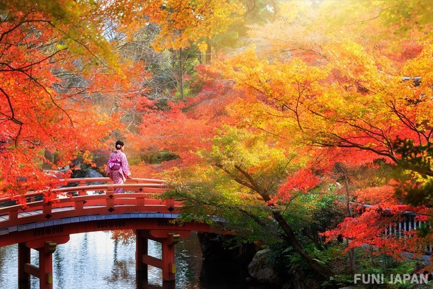 Kyoto in Autumn, Where to Go and What to Do