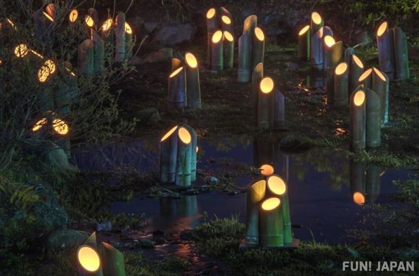 佈滿燈籠的京都花燈路