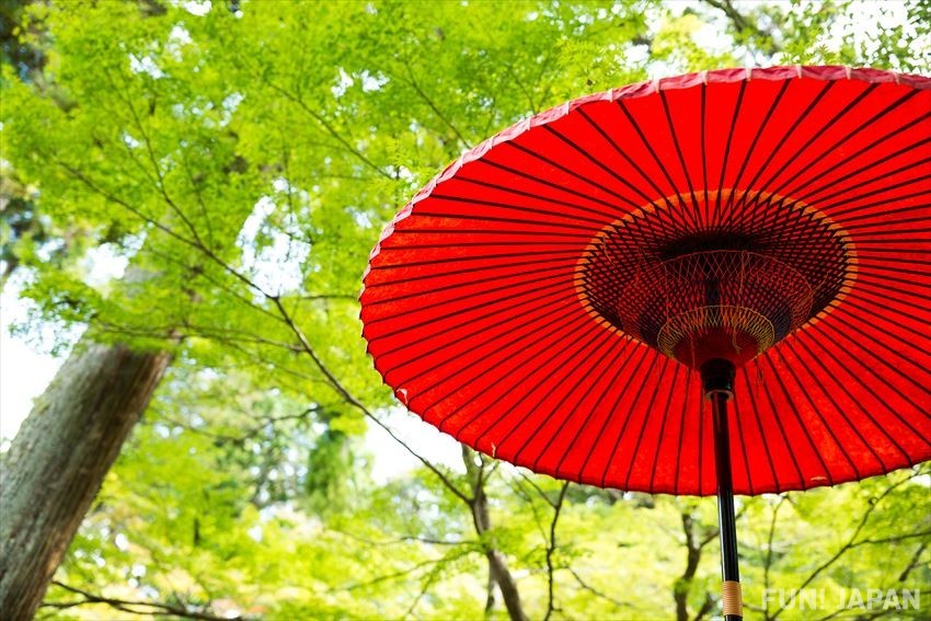 Kyoto in summer, Where to Go and What to Do