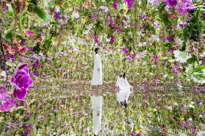 《Floating Flower Garden: Flowers and I are of the the Same Root, the Garden and I are One》©teamLab
