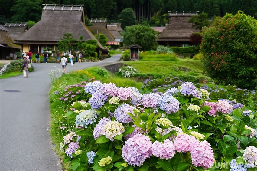 Revel in the Beautiful Countryside that is Miyama, Kyoto
