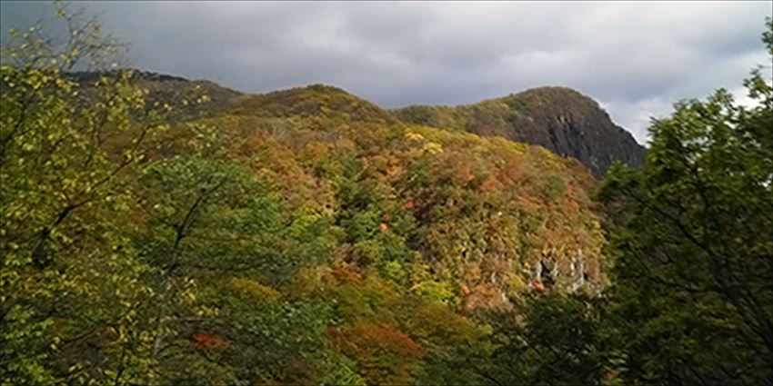20141223-24-01-mountain-kouyou-autumn