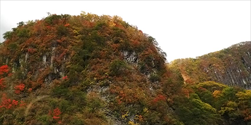 20141223-24-02-mountain-kouyou-autumn