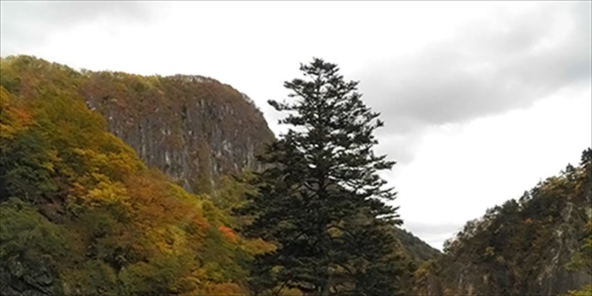 20141223-24-03-mountain-kouyou-autumn