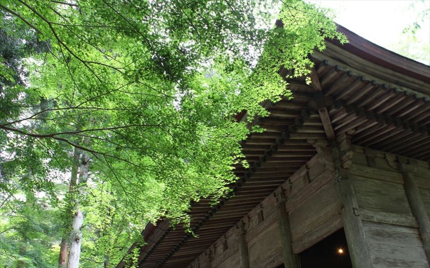 20150112-24-03-chusonji-temple-yamagata