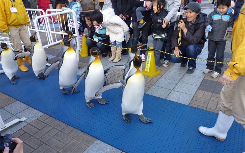 20150228-09-01-Osaka-Kaiyukan-Aquarium