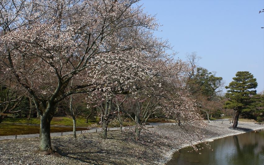 20150425-09-03-Sento-Imperial