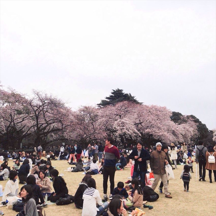 20150429-17-03-HANAMI