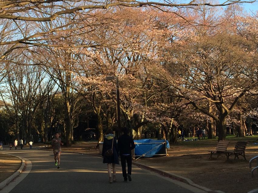 20150429-17-05-HANAMI