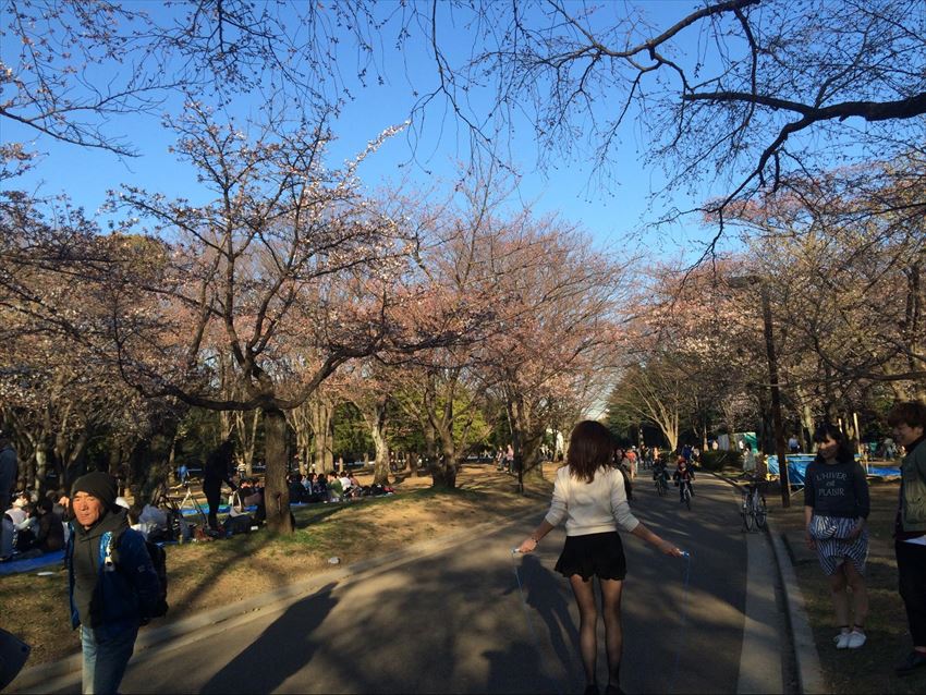 20150429-17-07-HANAMI