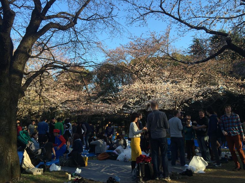 20150429-17-09-HANAMI