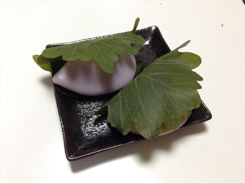 20150512-17-02-Kashiwa-Mochi